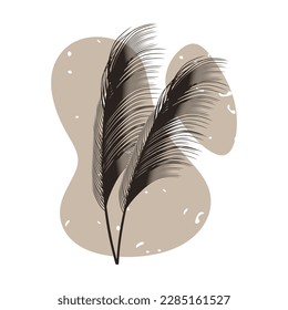 Vector de fondo de arte abstracto de pasto pampas. diseño para afiche cuadrado o tarjeta. Dibujo manual con forma abstracta para la decoración o el diseño. Ilustración del vector
