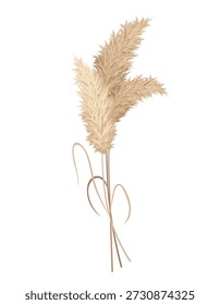 Ramos de capim dos Pampas. Plumas de cabeça de penas secas, usadas em arranjos de flores, exibições ornamentais, decoração interior, impressão de tecido, papel de parede, cartão de casamento. Elemento de ornamento dourado em estilo boho
