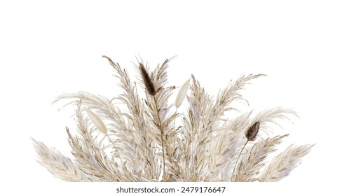 Pampas grass and bunny tails background, bohemian dried floral border