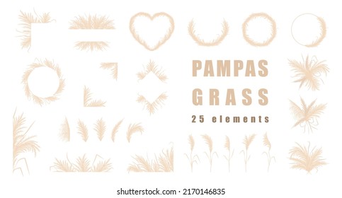 Pampas grass collection. Set of wedding bouquets, frame and borders. Vector cortaderia in boho style isolated on white. Trendy design elements for invitations, postcards, social media, stickers.