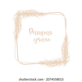 Pampas grass is a delicate square frame for the design of wedding invitations, postcards. Selloana. Vector hand-drawn illustration.
