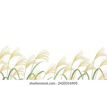 Pampas grass frame vector illustration