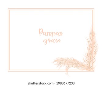 Pampas grass gentle background. Frame with dry grass for the decoration of invitations. Vector hand illustration.
