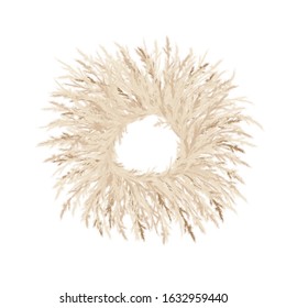 Pampas grass golden wreath. Vector illustration. 