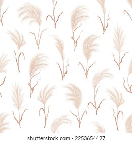 Pampas grass seamless pattern background of dry boho flower plants, vector floral feather plume blossoms. Pampas grass background with leaves or reed pattern, Japanese wreath plant or dried flowers