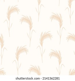 Pampas grass seamless pattern. Vector cortaderia in boho style. Autumn background. Trendy design for wedding, postcards, textile, wallpaper, fabric, wrapping paper.