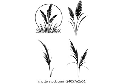 Pampas grass Silhouette, Pampas grass vector silhouette