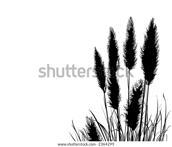 Pampas Grass Silhouette Vector File Change Stock Vector (Royalty Free