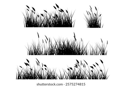 pampas grass silhouette, wild grass