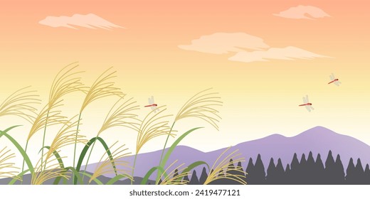 Pampas hierba y fondo del paisaje al atardecer (2:1)