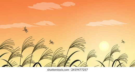 Pampas hierba y fondo del paisaje al atardecer (2:1)