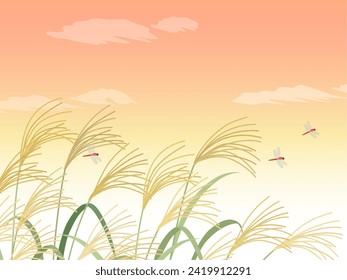 Pampas grass and sunset landscape background
