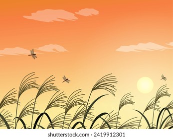 Pampas-Gras und Sonnenuntergang, Hintergrund