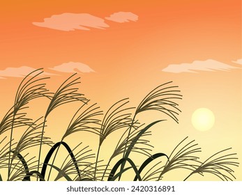 Pampas grass and sunset landscape background