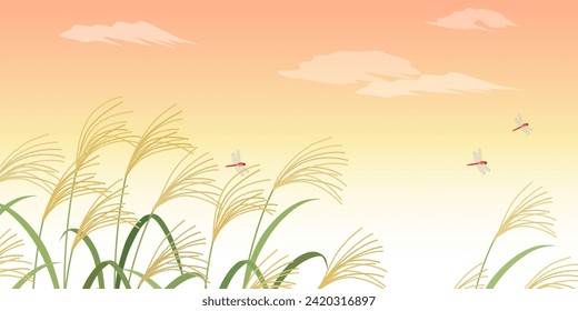 Pampas hierba y fondo del paisaje al atardecer (2:1)
