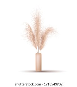 Pampas grass in vase. Dried floral ornament elements in boho style. Vector illustration isolated on white background. New trendy home decor. Stylish minimal design concept.