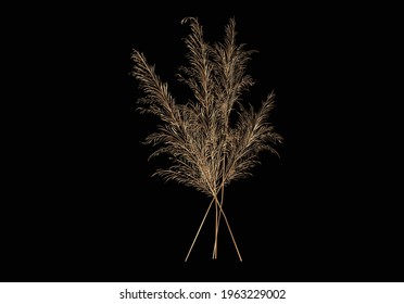 pampas vector art design hand drawn