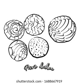 Pan dulce food sketch separated on white. Vector drawing of Sweet bread, usually known in Mexico. Food illustration series.