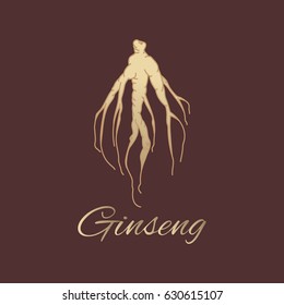 Panax ginseng root