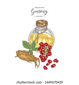 Panax Ginseng set. Ginseng root, leaves, berries with glass bottle isolated on white background. Medicinal plant collection. Colorful vector illustration. 