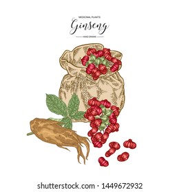 Panax Ginseng set. Ginseng root, leaves, berries with textile bag isolated on white background. Medicinal plant collection. Colorful vector illustration. 