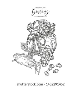 Panax Ginseng set. Ginseng root, leaves, berries with textile bag isolated on white background. Medicinal plant collection. Black and white vector illustration. 