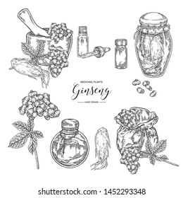 Panax Ginseng set. Ginseng root, leaves, berries with textile bagand glass bottles isolated on white background. Medicinal plant collection. Black and white vector illustration. 