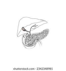 panceras organ vector type icon