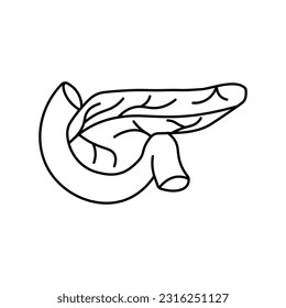 Pancreas, anatomy flat line icon. Human pancreas vector illustration. Outline pictograms for medical clinic