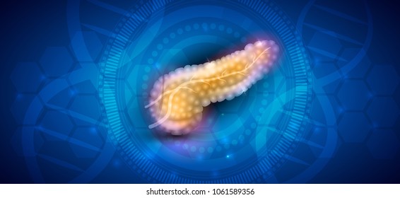 Pancreas anatomy illustration on an abstract scientific blue background