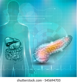 Pancreas anatomy and treatment concept, human silhouette with internal organs, gallbladder, intestine, stomach and spleen on a beautiful abstract background with normal cardiogram at the bottom.