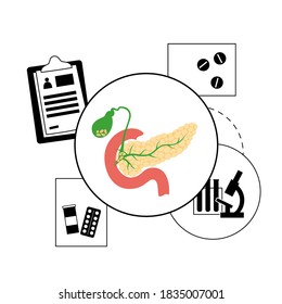 Pancreas, duodenum and gallbladder anatomy in the human body. Digestive system concept and Gastrointestinal clinic logo. Healthcare medical center vector isolated illustration. Internal organ poster.