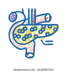 pancreas endocrinology doodle icon sketch vector. pancreas endocrinology sign. isolated symbol illustration