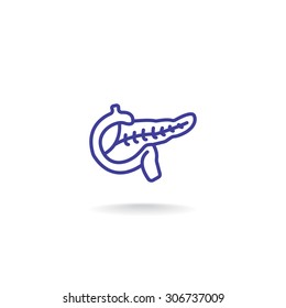 Pancreas flat icon