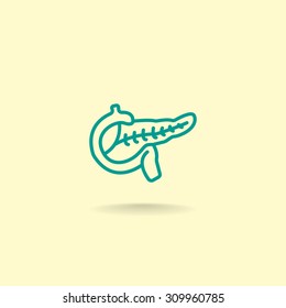 Pancreas flat icon