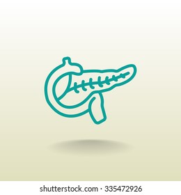 Pancreas flat icon