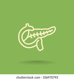 Pancreas flat icon