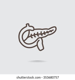 Pancreas flat icon