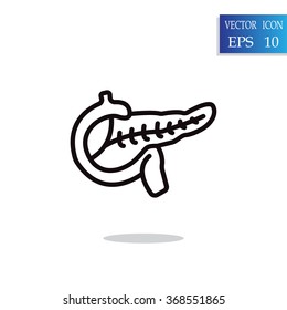 Pancreas flat icon