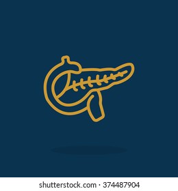 Pancreas flat icon