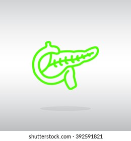 Pancreas flat icon