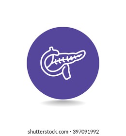 Pancreas flat icon
