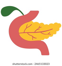 Pancreas and Gallbladder on a white background, vector illustration.