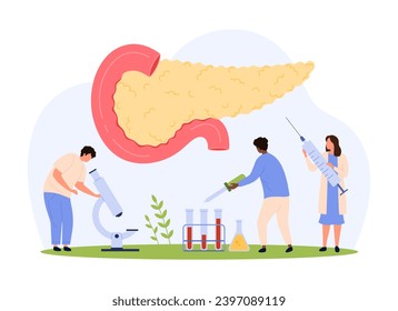 Pancreas health, chronic diseases vector illustration. Cartoon tiny people check endocrine gland for pancreatic cancer, pancreatitis or diabetes, examine medical tests of patient with microscope