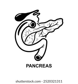 Pancreas icon. The Black pancreas symbol isolated on background vector illustration.