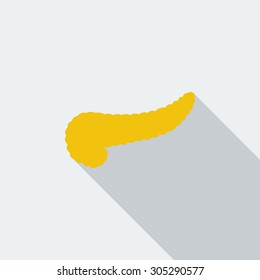 Pancreas icon. Flat vector related icon with long shadow for web and mobile applications. It can be used as - logo, pictogram, icon, infographic element. Vector Illustration.