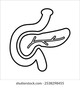 Pancreas Icon Line Vector