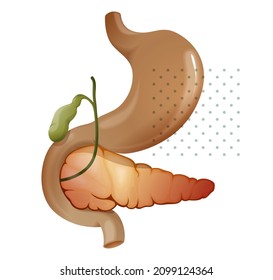 Pancreas Icon stock illustration as EPS 10 File