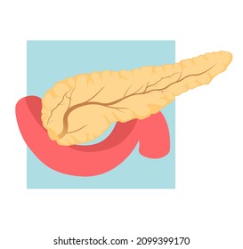 Pancreas Icon stock illustration as EPS 10 File