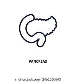 pancreas icon. Thin line pancreas icon from medical collection. Outline vector isolated on white background. Editable pancreas symbol can be used web and mobile